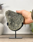 Green Quartz Crystal Cluster with Black Hematite Inclusions - MWS3342