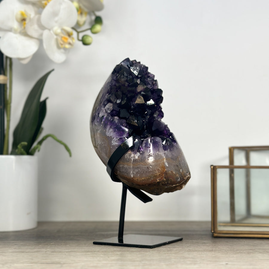 Amethyst Cluster with Deep Purple Crystals - MWS2203