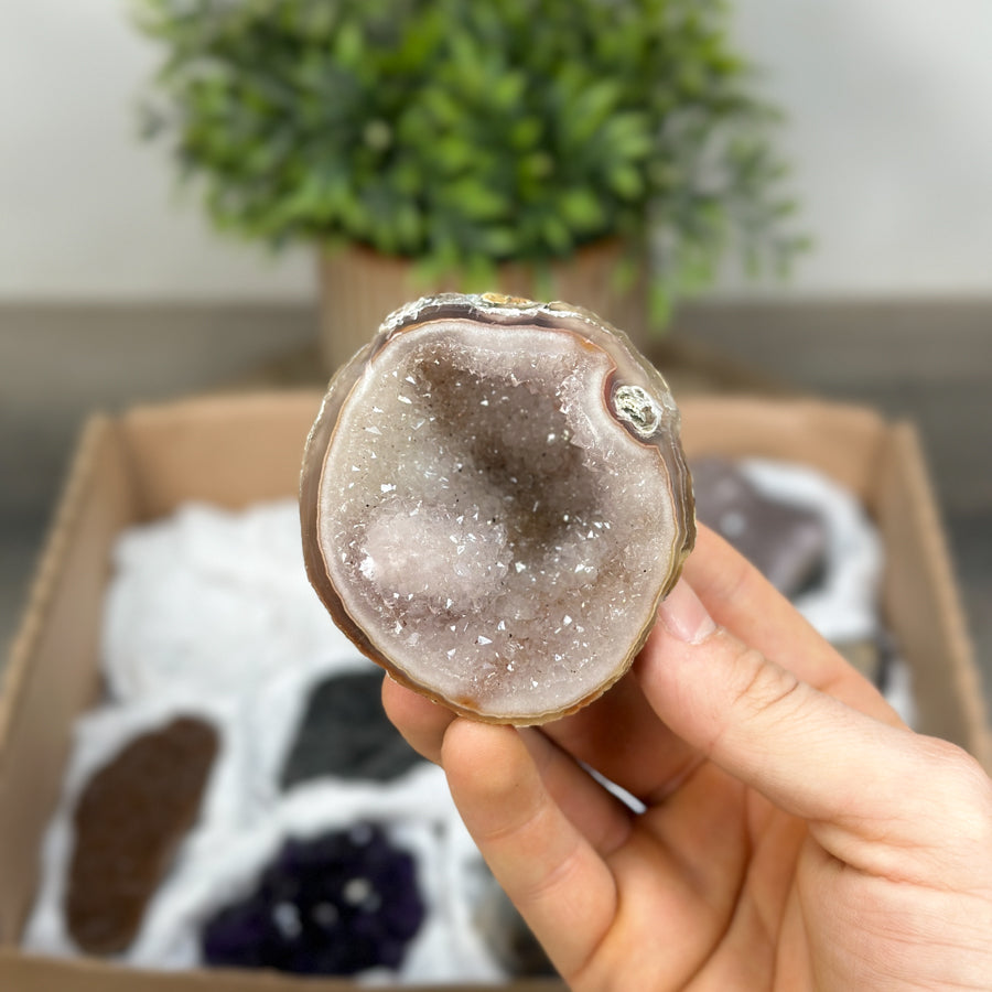 Mineral Specimens Lot - MSLT0189