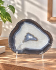 Polished Blue Banded Agate Slice - SLC0024