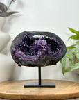 Natural Amethyst Geode with Agate Shell - MWS3096