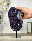 Uruguayan Amethyst Crystal Cluster for Home Decor - MWS2695