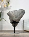 Black Druzy Mineral Specimen – Natural Crystal Cluster for Home Decor Display - MWS2621