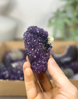 Mineral Specimens Lot - MSLT0231