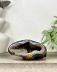 Blue Agate & Quartz Druzy Stone Geode - STGE0075