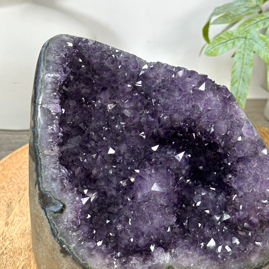 Amethyst Geode with Stalactite Formations - CBP1303