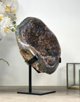 Stunning Natural Ametrine Geode, Stand Included - MWS2313