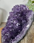 Natural Amethyst Geode Cathedral Geode from Uruguay - CBP1296