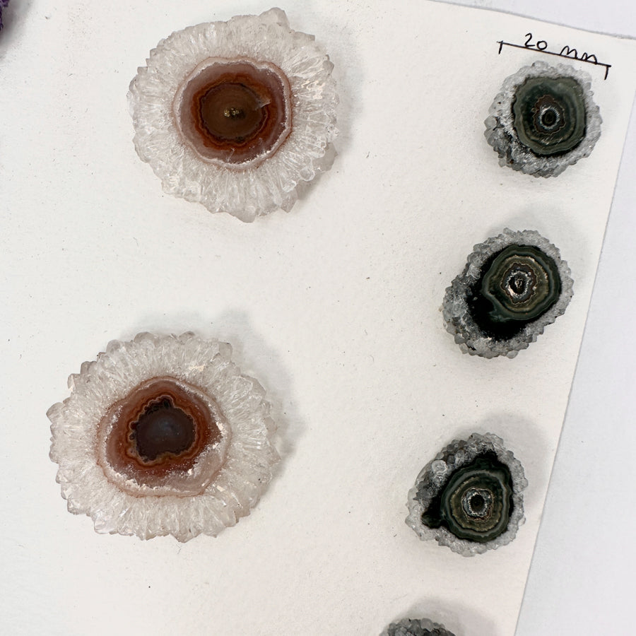 Unique Quartz, Amethyst, Agte &amp; Green Jasper Stalactite Slices Set - Natural Crystal for Handmade Jewelry - STS0054
