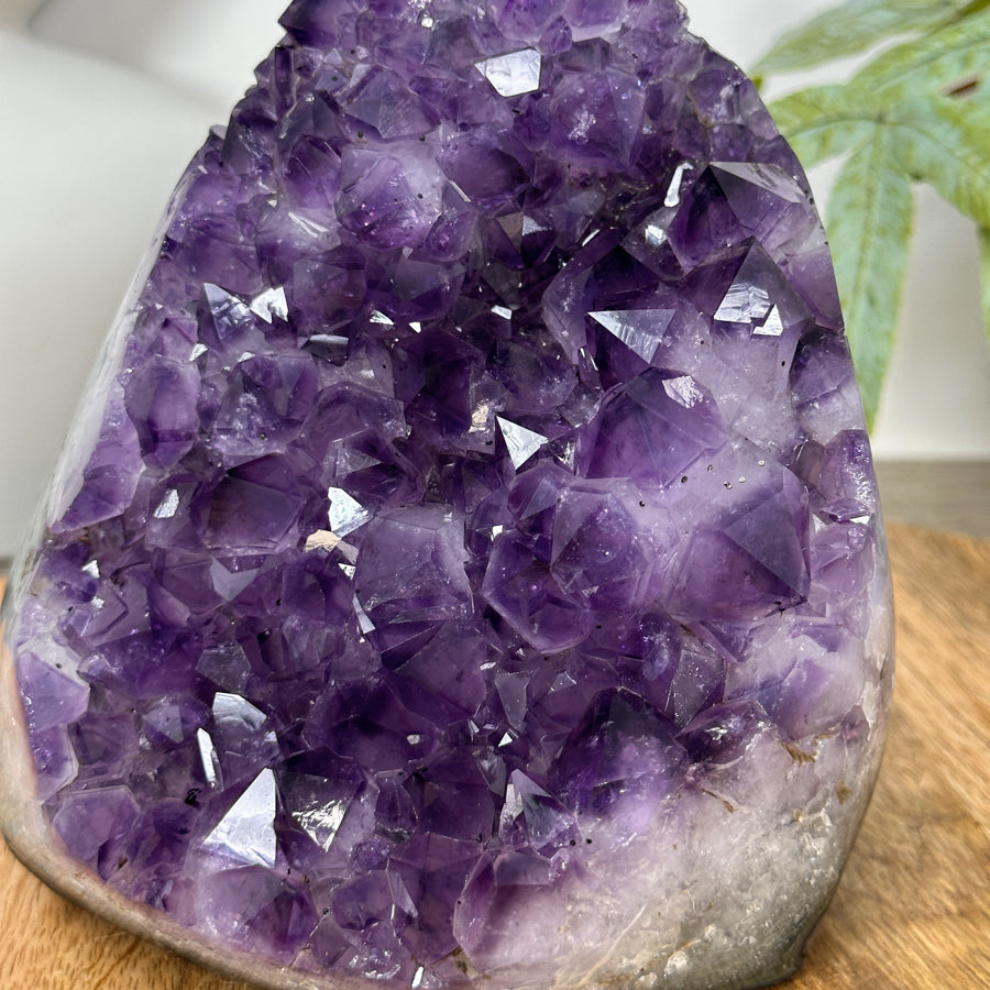 Uruguayan Amethyst Cathedral Statement Piece - CBP1300