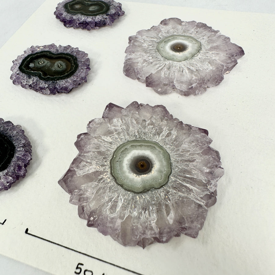 Stunning Amethyst Stalactite Slices for Jewelers - Wholesale Bulk Pack - STS0034