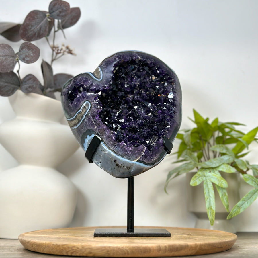 Natural Top Quality Amethyst Geode with Blue Abate Shell - MWS3073