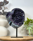 Natural Top Quality Amethyst Geode with Blue Abate Shell - MWS3073