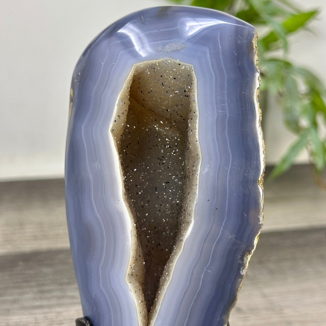 Blue Banded Agate Geode with Quartz Druzy interior - MWS3336