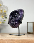 Natural Uruguayan Amethyst Cluster with Large & Shinny Crystals - MWS1893