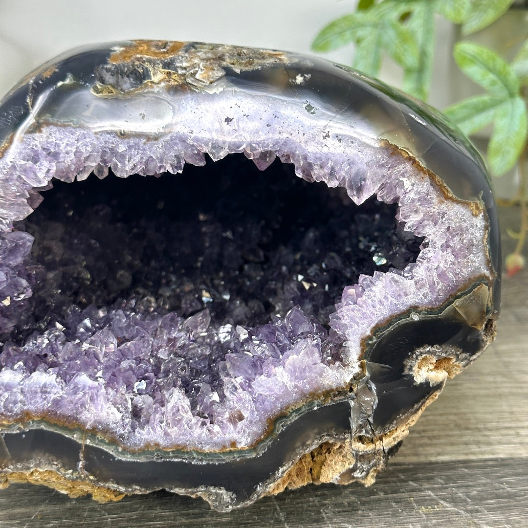 Natural Amethyst &amp; agate Geode - STGE0045