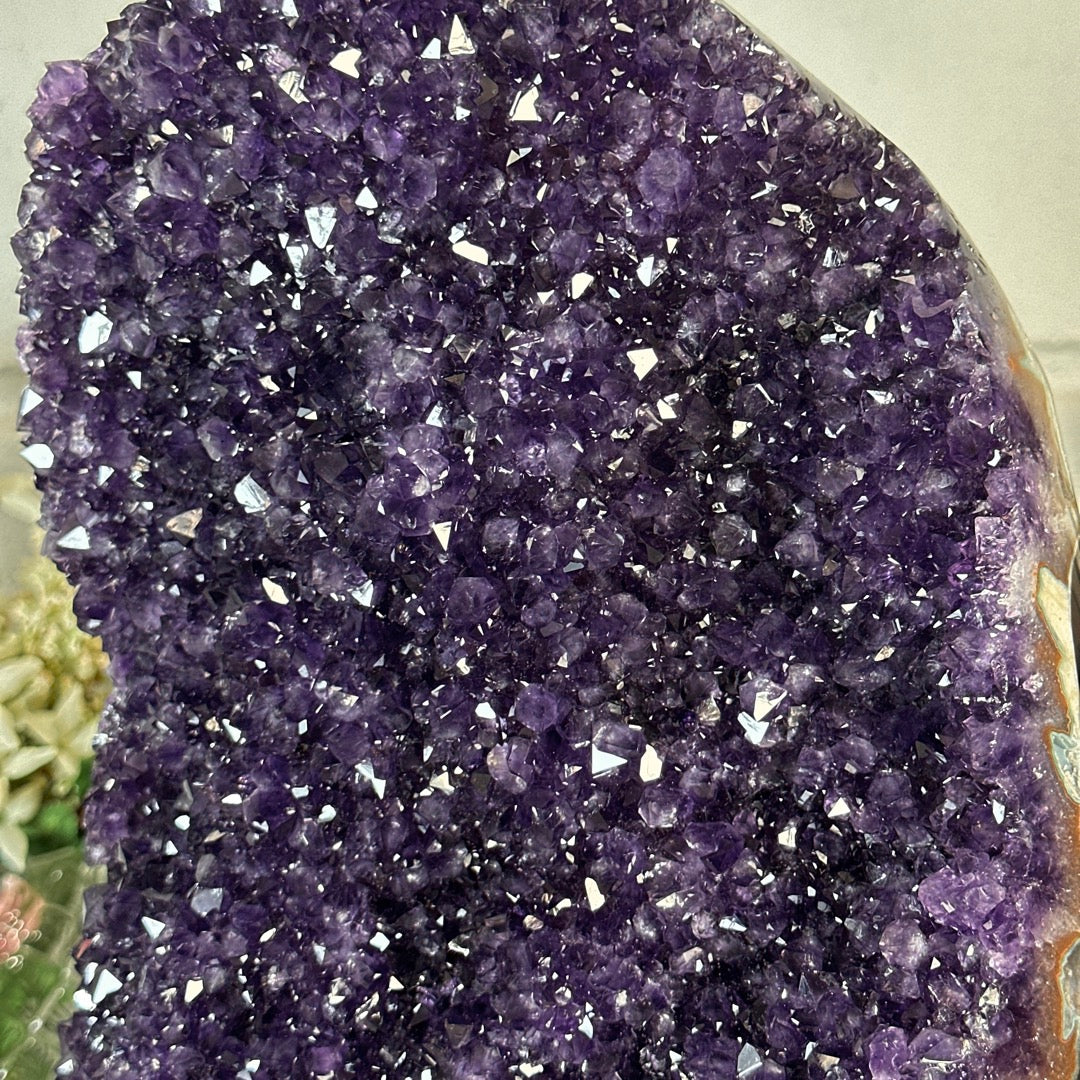 Natural 19 in Tall Amethyst Crystal Specimen Statement Piece - MWS3406