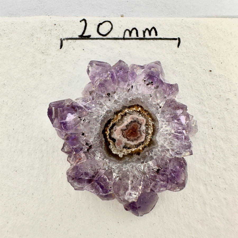 Natural amethyst Jasper &amp; Quartz Stalactite Slices Wholesale Flat - Ideal for Pendants - STS0060