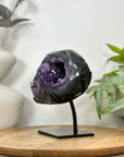 Natural Amethyst Geode with Agate Shell - MWS3096