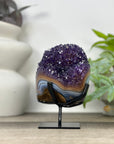 Natural amethyst Cluster on Stand For Home Decor - MWS3302
