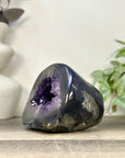 Huge Amethyst & Agate Geode with Handpolished Shell - STGE0083