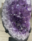 Natural Amethyst Crystal Cluster on Black Metallic Stand - MWS2204