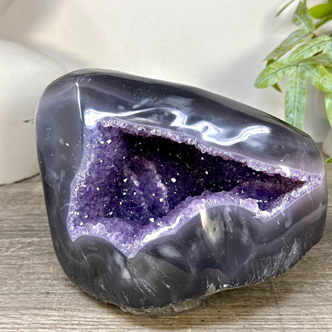 Natural Amethyst Geode with Agate Shell - STGE0098
