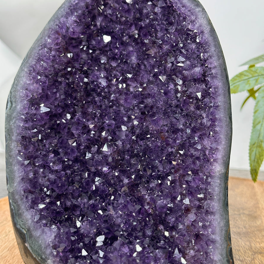 Uruguayan Amethyst cathedral Geode for Home Decor - CBP1306