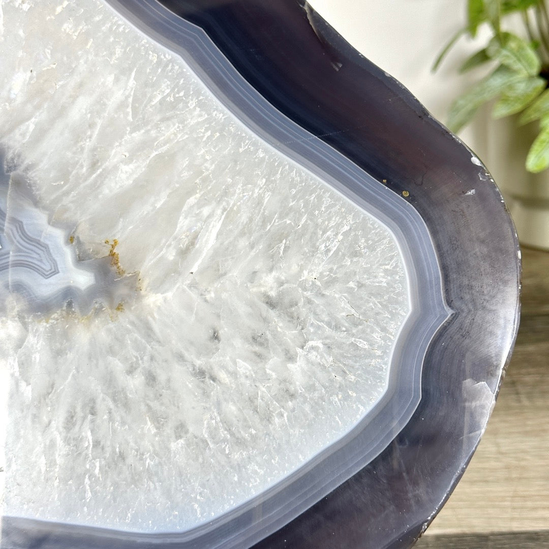XL Blue Banded Agate Slice - SLC0025