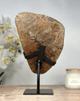 Outstanding Natural Amethyst Formation, Perfect Home Centerpiece - MWS1660
