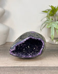 Uruguayan Amethyst Geode with Polished Shell - STGE0090