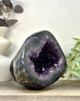 XL Natural Amethyst Geode with Agate Shell - STGE0054
