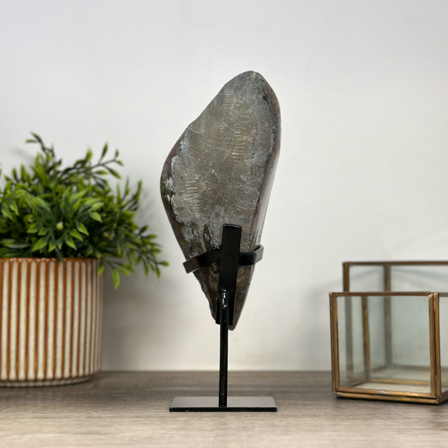 Natural Amethyst Geode with Calcite Crystal Formation - MWS2164