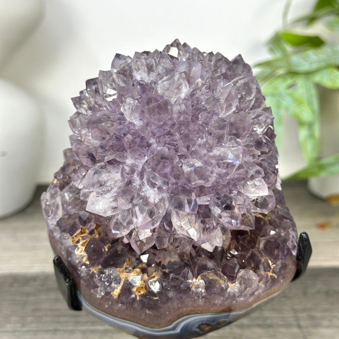 Natural Amethyst Stalactite Flower Formation on Stand - MWS3285