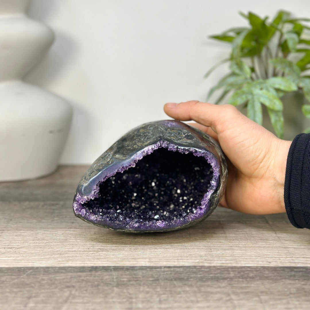 Uruguayan Amethyst Geode with Polished Shell - STGE0090