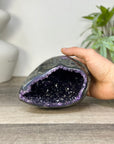 Uruguayan Amethyst Geode with Polished Shell - STGE0090