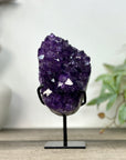 Natural Top Grade Amethyst Cluster on Stand - MWS3267