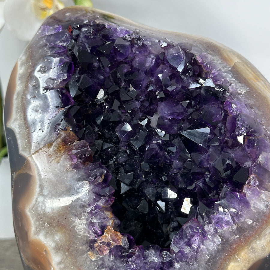 Deep Purple Amethyst Geode with Agate Shell - MWS2188