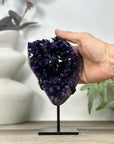 Natural Uruguayan Amethyst Cluster on Stand - MWS3214