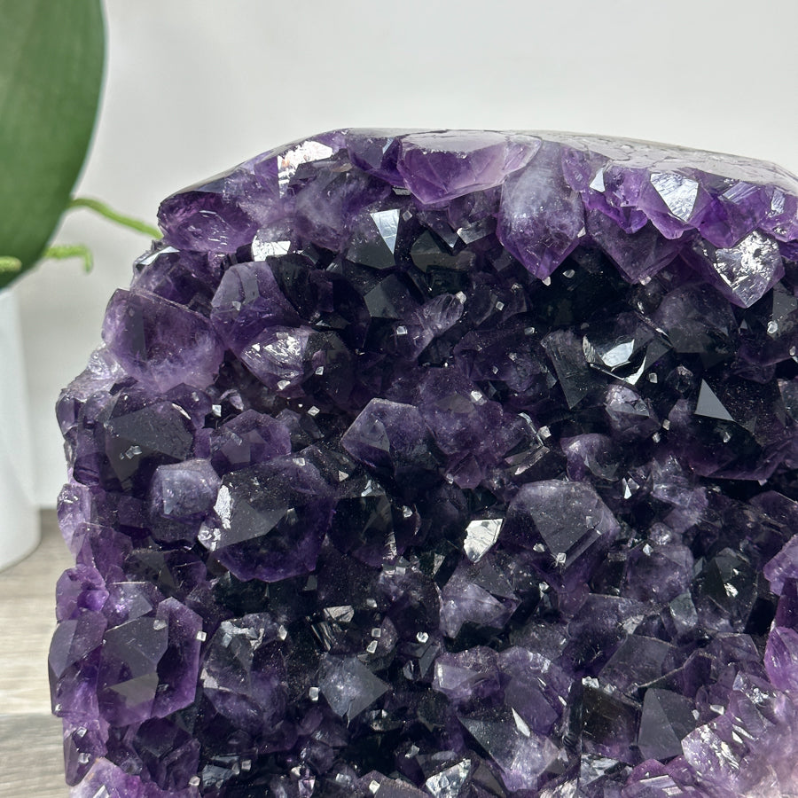Large Uruguayan Amethyst Cathedral - CBP1265