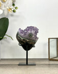 Amethyst Crystal Cluster on Stand with Light Purple Druzy - MWS2883