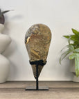 Natural Agate Geode with Beautiful Quartz Crystal Interior - MWS3341