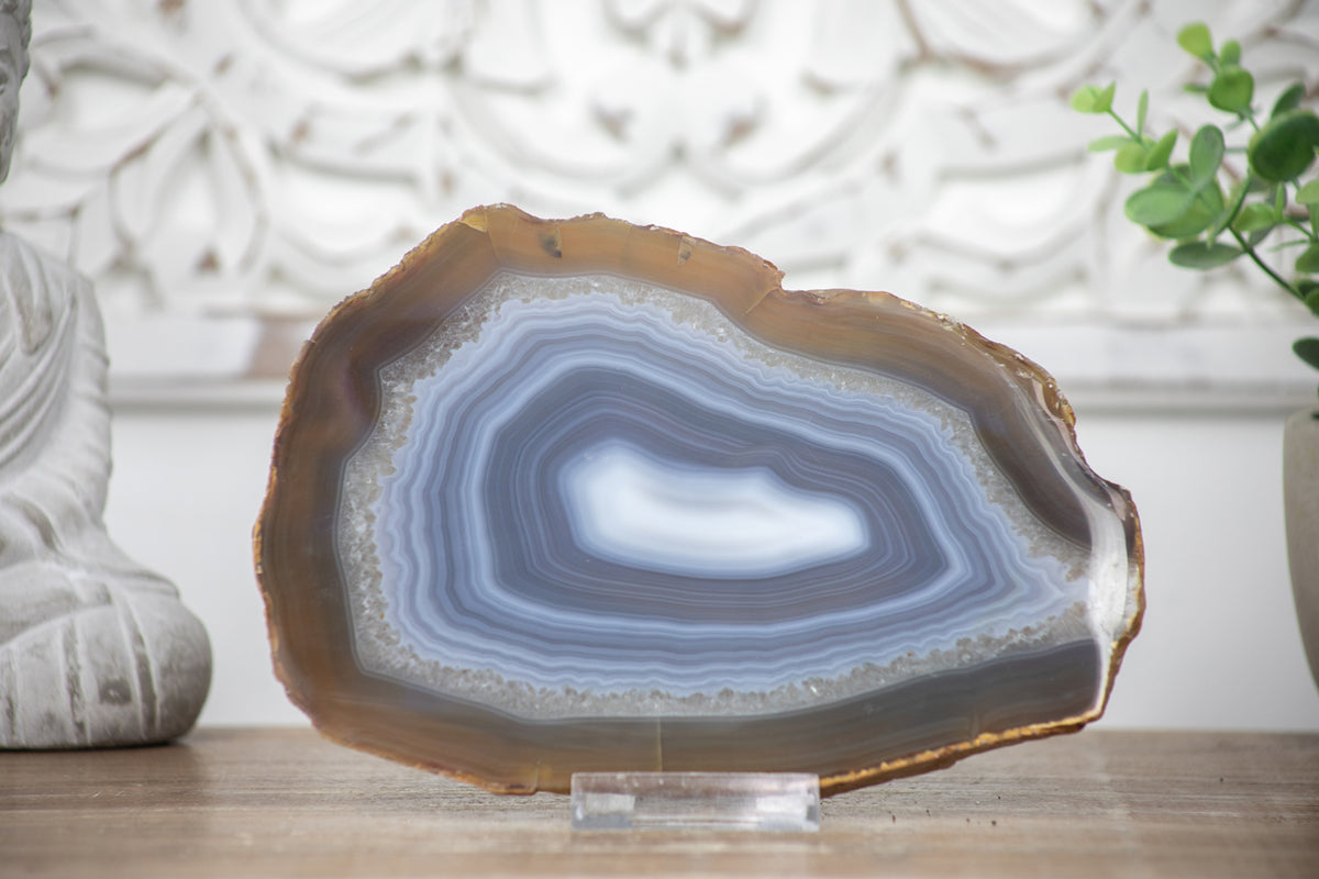Natural Blue Banded Agate Slice - SLC0002