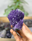 Mineral Specimens Lot - MSLT0215