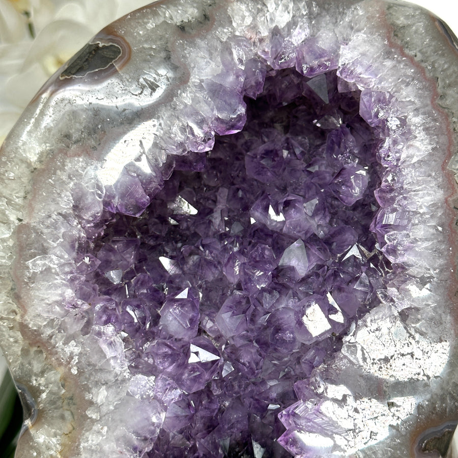 Huge Uruguayan Amethyst Geode, Metallic Stand Included - MWS0449