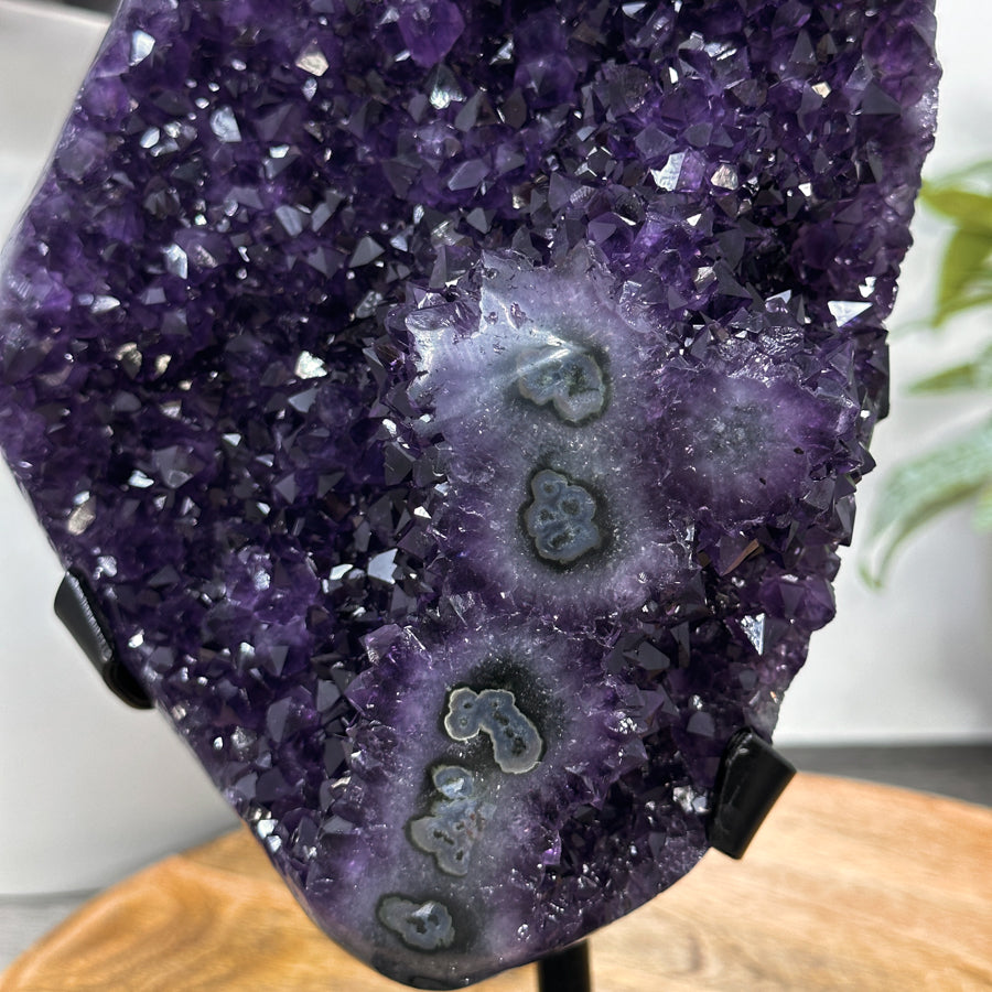Natural A+ Grade Amethyst Specimen with Stalactite Formations - MWS3075
