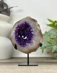 Stunning Amethyst Flower on Stand - MWS3307