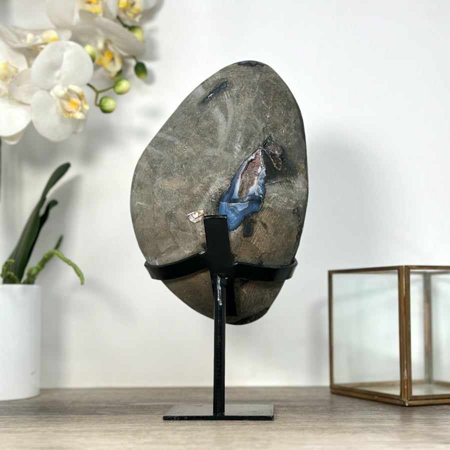 Unique Large Amethyst Cluster with Black Hematite Formation - MWS2529