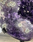 Huge Natural Top Grade Amethyst Specimen - MWS3405