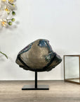 Top Quality Natural Amethyst Crystal - Stand Included - MWS3025